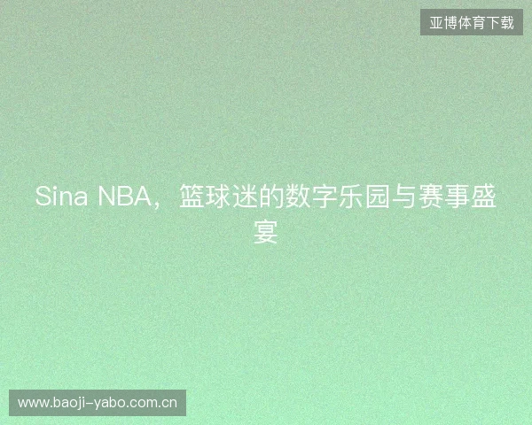 Sina NBA，篮球迷的数字乐园与赛事盛宴